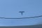 2019 Tesla Model 3 Mid Range