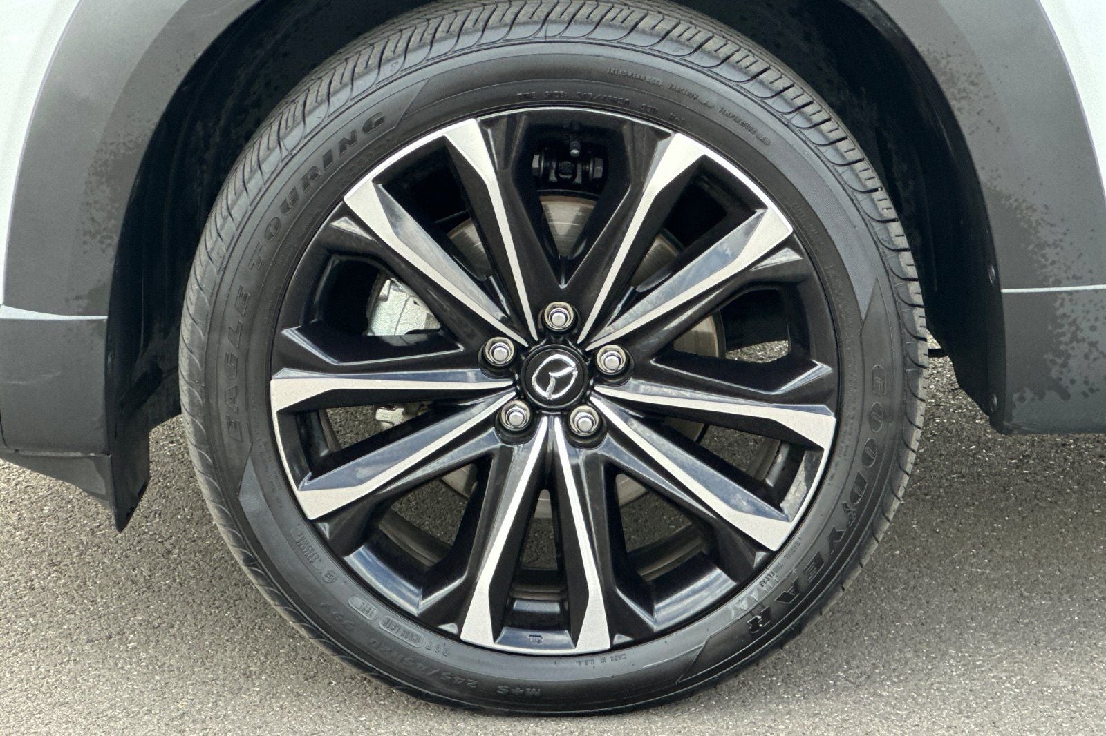 2025 Mazda Mazda CX-50 2.5 S Premium Plus Package